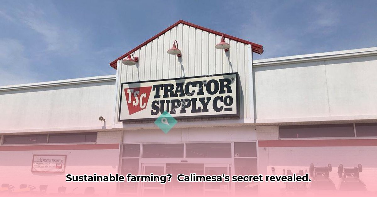 tractor-supply-calimesa